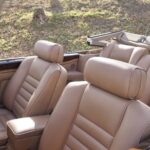 Under the sunlight, the leather seats are in impeccable condition.